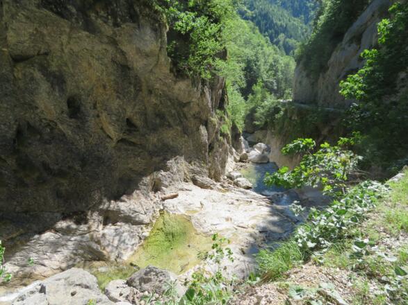 In der Rindbachschlucht