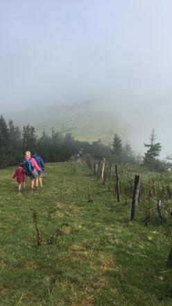 Weg Richtung Hintertrattberg zu den Almen 