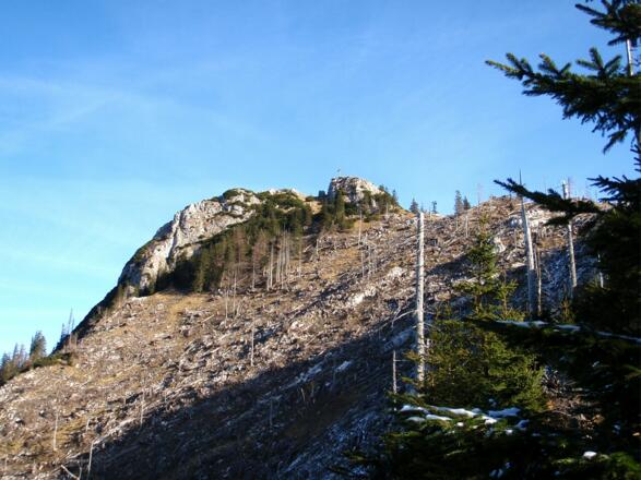 Erlakogel, Windwurf um 1200-1500m