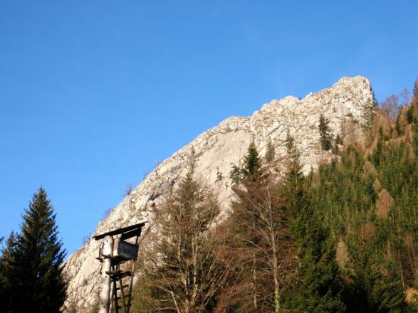Spitzelstein, Kammhochpunkt ~1170m