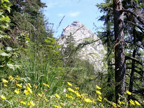 Letzter Blick zurück beim Abstieg um 860 m