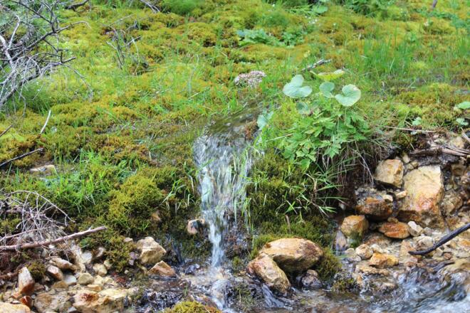 Überall entspringen Quellen