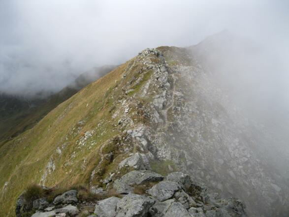Zwischen Schöntalhöhe und Eisenreich