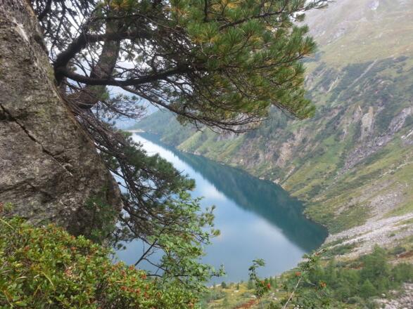 Blick auf den Unteren Rotgüldensee