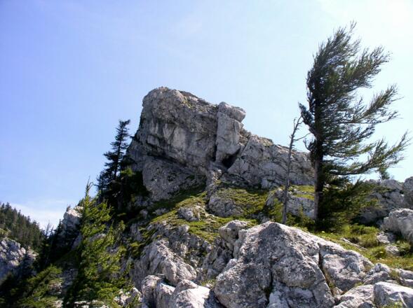 Da geht&#039;s rauf zum Kl. Schoberstein, Sattel 940m.