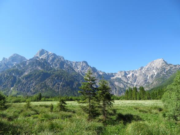 Blick in die Wolfsau und zum Toten Gebirge