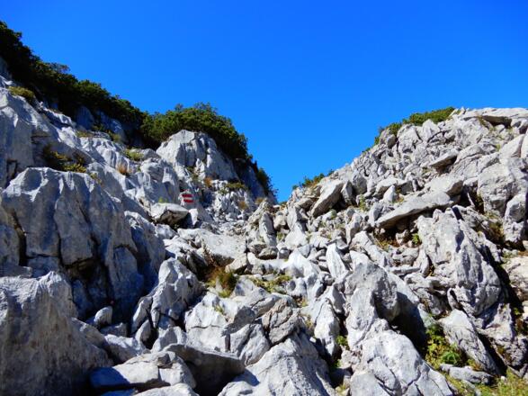 Anstieg zum Grünalmkogel