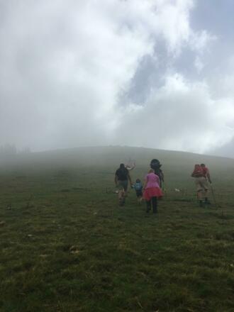 Richtung Trattberg Gipfel 