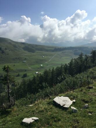 Blick zu den Almen am Hintertrattberg 