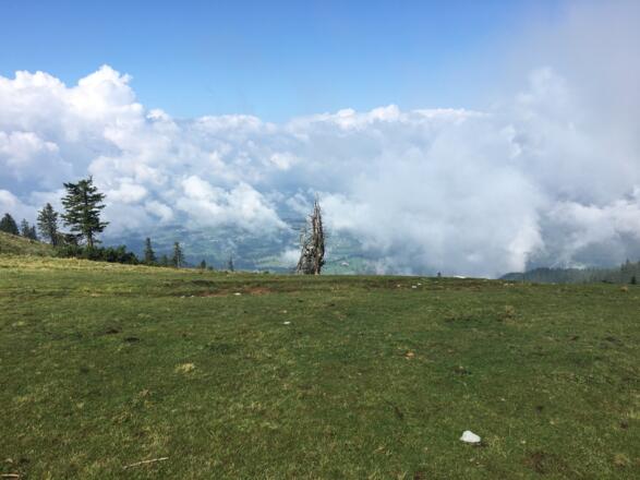 Blick Richtung St.Kolomann 