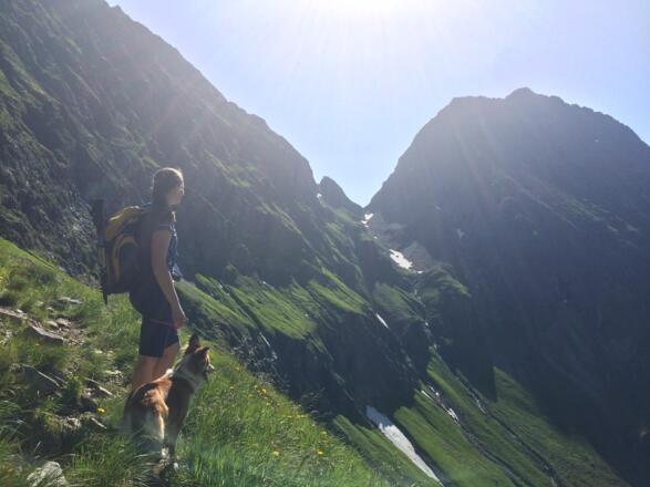 Auf dem Höhenweg 702A zwischen Trockenbrotscharte und Gollingscharte