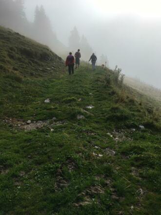 Wanderweg zum Gipfel am Trattberg 