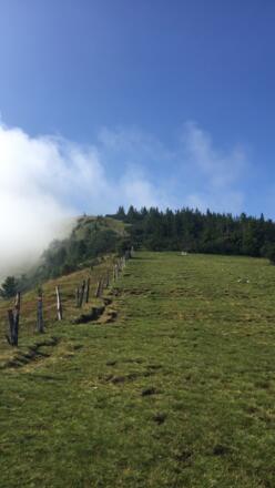 Blick Richtung Trattberggipfel zurück 