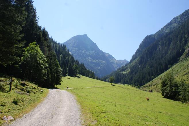 Der Weg ins Steinriesental im Bereich der Unteren Steinwendalm