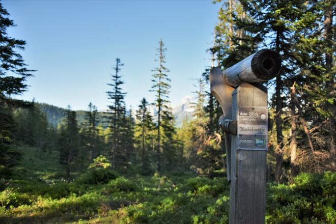 Aussichtspunkt in Richtung Bischofsmütze
