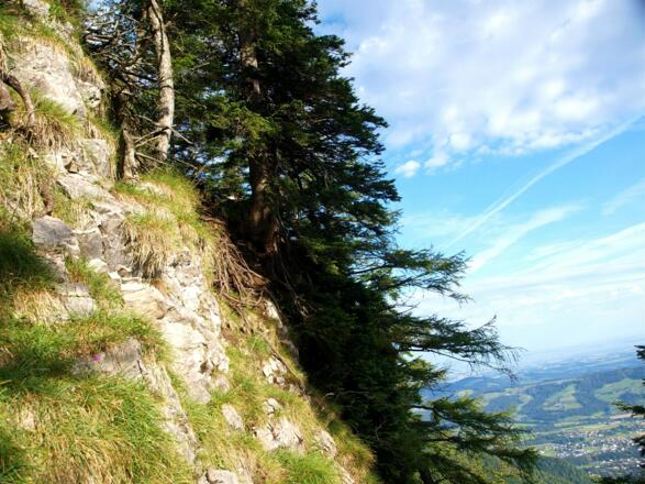 Erste Kletterstelle am Sauwipfel