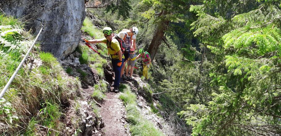 Auch im leichten Gelände soll das Stahlseil verwendet werden.