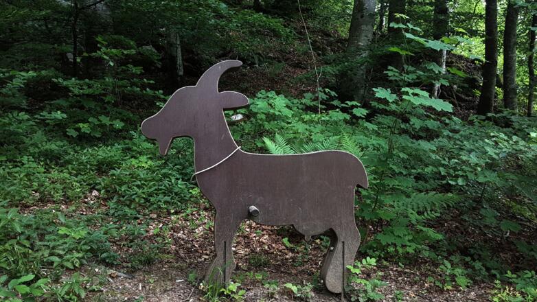 Der &quot;Goßarweag&quot; in Bizau