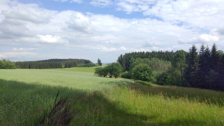 Blick in die Landschaft