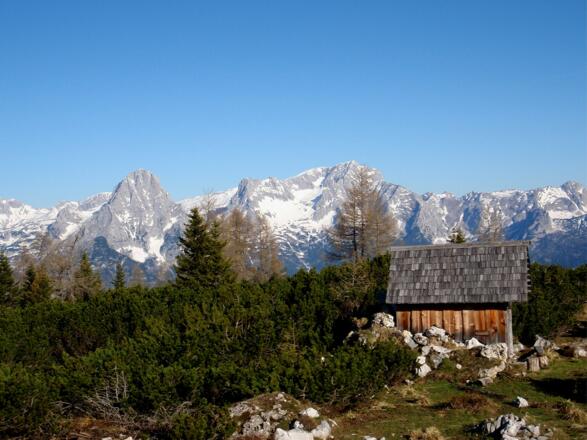 Spitzmauer und Priel vom Schafkögelplateau gesehen