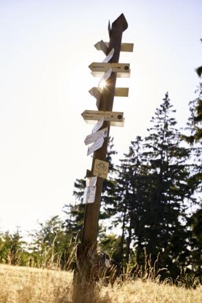 Wegweiser auf dem Döbraberg