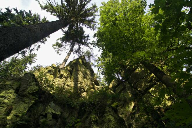 Felsen im Höllental