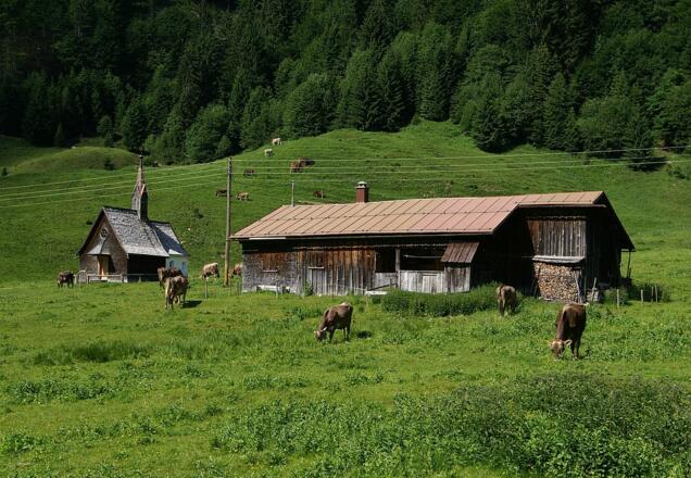 Vorsäß Hinterhopfreben