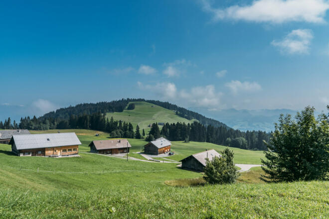 Bödele (c) packyourthingsandtravel / Vorarlberg Tourismus