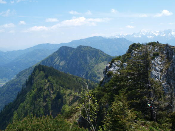Gratkam vom Steineck 1418m gesehen