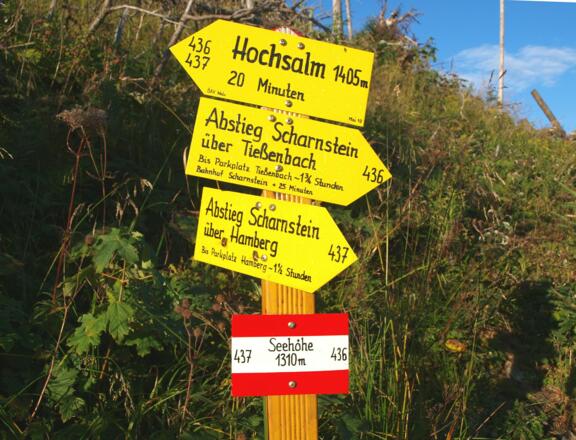 Wegtafel vor dem Gratkamm des Hochsalm 1310m