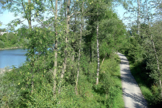 Bregenzerach und Bregenzer Achweg