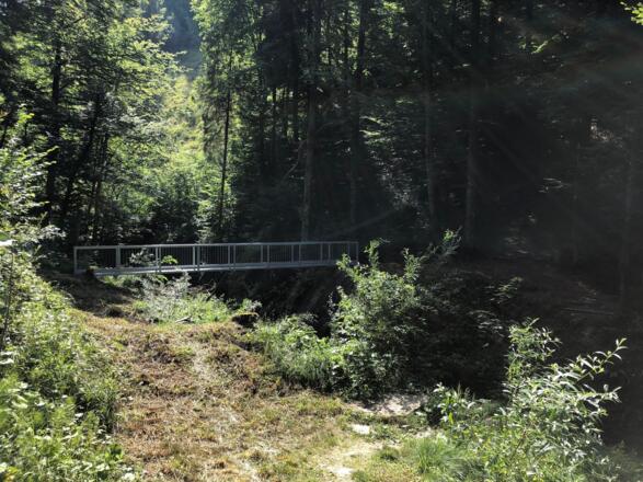 Die neue Brücke über den Rickenbach