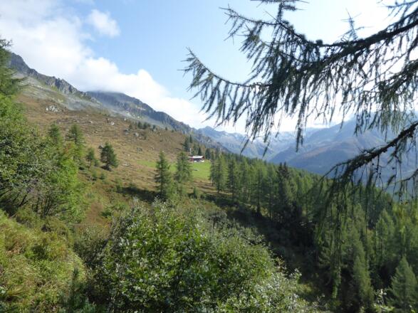 Blick auf die Fuchsalm