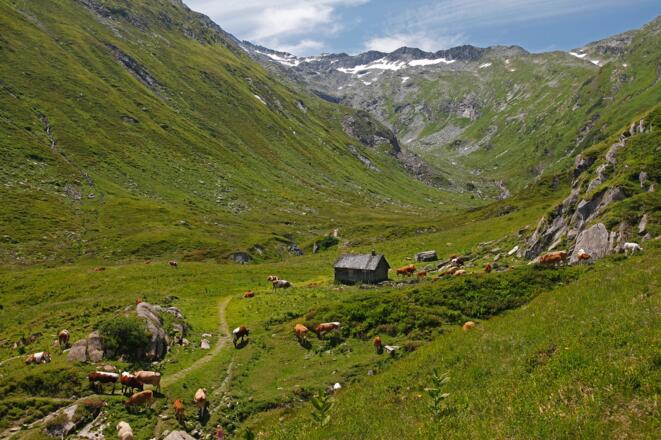 Die kleine Hütte im hintersten Murtal (Nationalpark-Außengrenze)