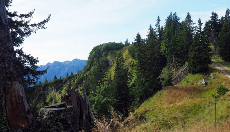 Aussichtskanzel Almseeblick ~1.610m der Almrunde