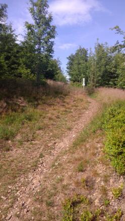 Aufstieg zum Döbraberg