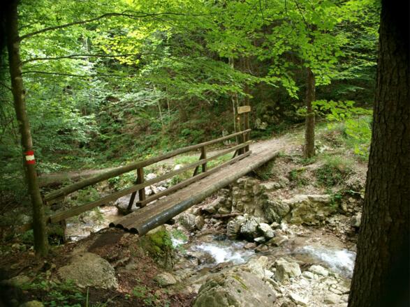 Franz-Lindinger Steg ~660m