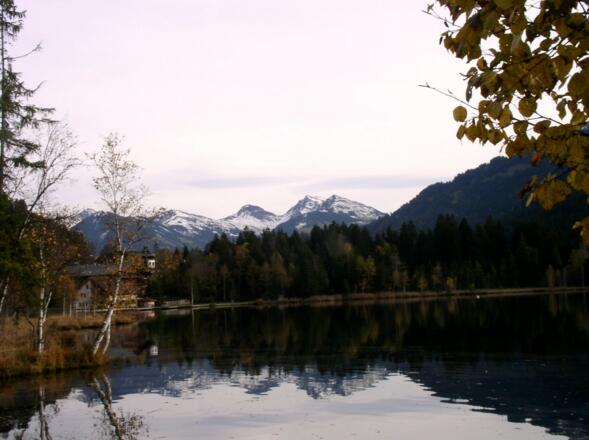 Blick vom Schwarzsee nach Osten