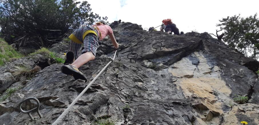... typisch für den Klettersteig. Technisch 1a -  die Ausführung der Tritthilfen.