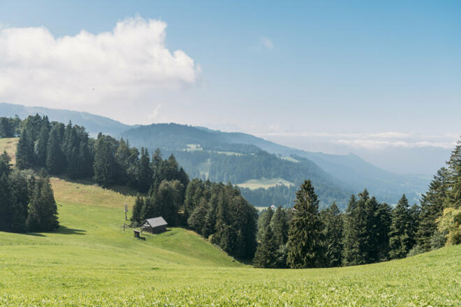von Bödele Richtung Bildstein  (c) packyourthingsandtravel / Vorarlberg Tourismus