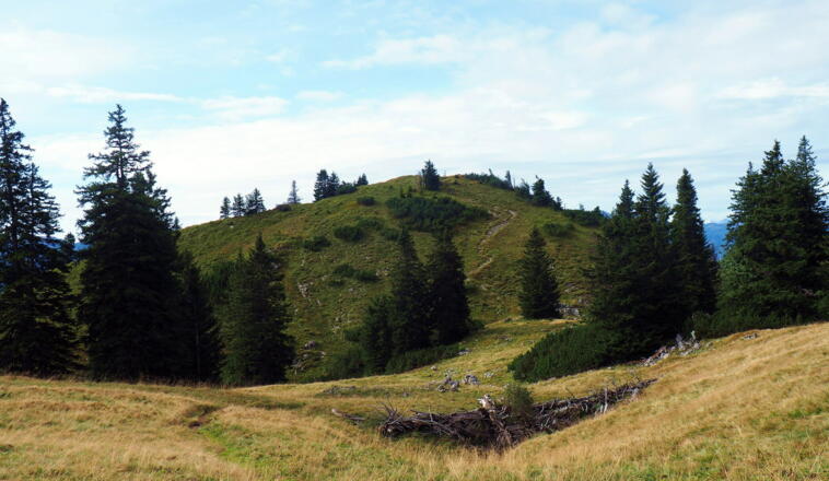 Spitzplaneck 1617m, Schlussanstieg 