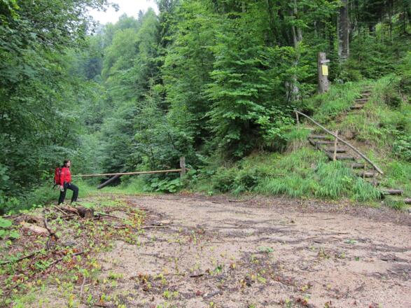 Wandern zur Blahbergalm