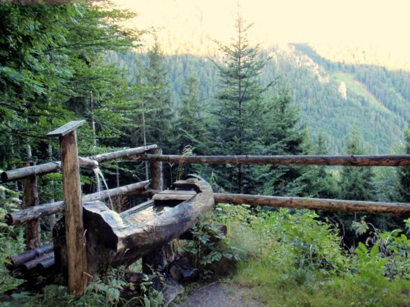 Salmhütte 1070m mit Bründl