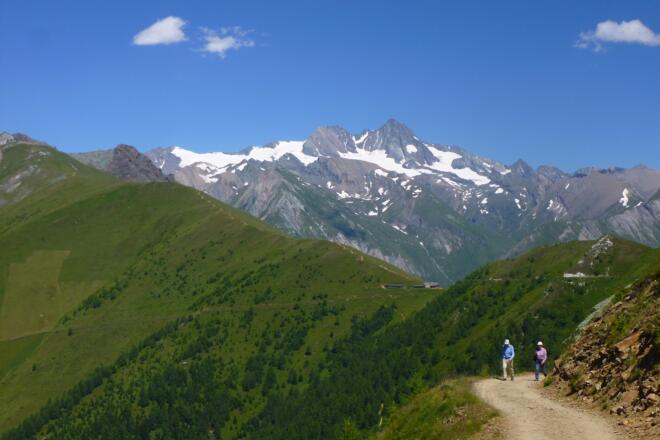 Blick vom Panoramaweg zur Glocknergruppe