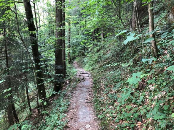 Am Weg zurück nach der Kapelle