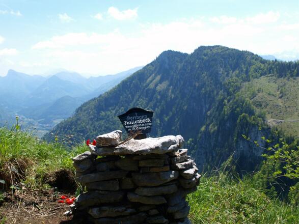 Gedenksteine am Kamm um 1250m