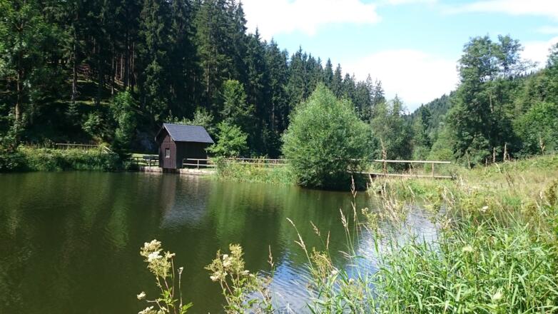 Floßteich an der Bischofsmühle