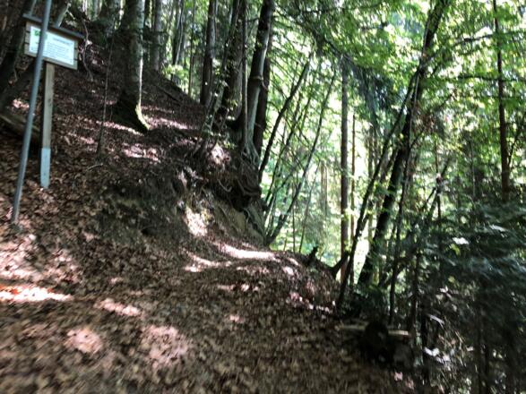 An der Gabelung zur Brücke runter