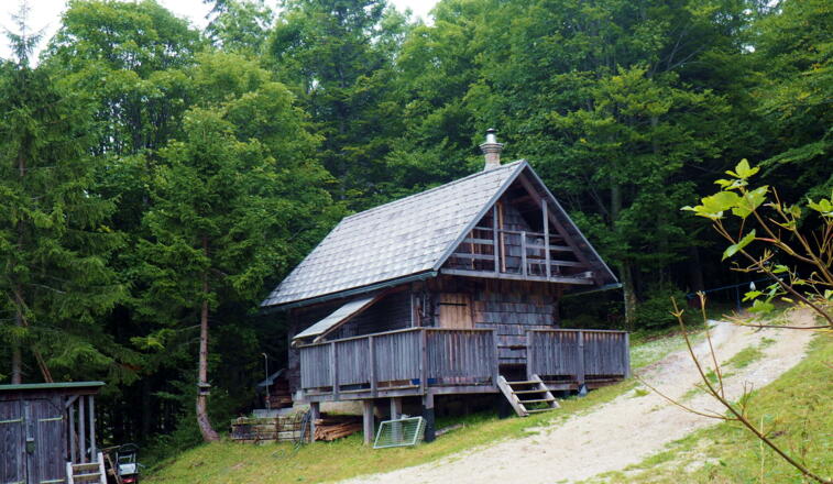 Hütte am Wandwerweg  ~1.180m
