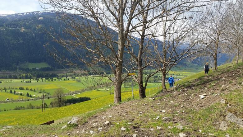 auf der Staig gehts zurück - Blick Richtung Golfplatz
